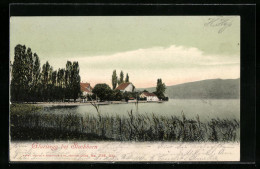 AK Glarisegg Bei Steckborn, Partie Am Wasser - Steckborn