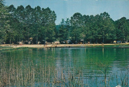 CAZALS LE LAC,COULEUR,PETITE ANIMATION REF 87990 - Cazals