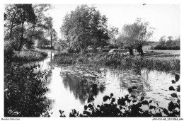 ATGP12-1019-89 - GUILLON - Bords Du Serein - Guillon