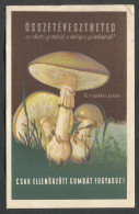 MUSHROOM PILZ, HUNGARY - Pilze