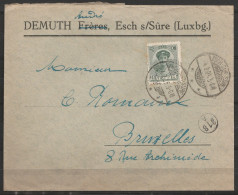 Luxembourg - L. Entête Marchand De Timbre Affr. 25c Càd "ESCH-SUR-SÛRE/1925" Pour BRUXELLES - 1921-27 Charlotte Front Side