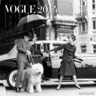 Vogue Photography 2014 Wall Calendar - New & Sealed. Out Of Print. - Groot Formaat: 2001-...