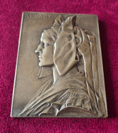 Plaque En Bronze. Alsace. - Altri & Non Classificati