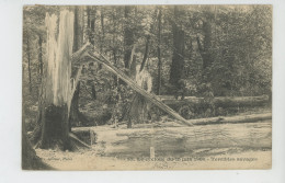 Delcampe - PARIS - XIIème Arrondissement - BOIS DE VINCENNES - Le Cyclone Du 16 Juin 1908 - Terribles Ravages - Edit. GONDRY - Paris (12)