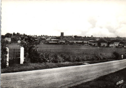 1615  CPM PUTTELANGE Lès FARSCHVILLER  : Vue Générale  !! Superbe Carte Photo  !! - Puttelange