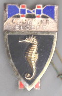 Pompiers. Charente Maritime. Coum'Ine Eloese. Hippocampe Doré. Haches Droites. Drago. - Firemen