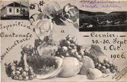 CERNIER - EXPOSITION CANTONALE ORTICULTURE 1906 - FORMATO PICCOLO - VIAGGIATA 1910 - (rif. H39) - Cernier