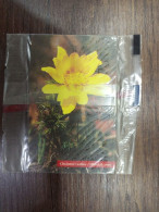 Slovenia Phone Card In A Original Cover - Slovenia