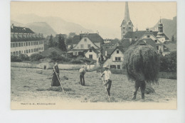 SUISSE - NIDWALD - STANS (scène De Fenaison ) - Stans