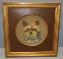 - PASTEL PORTRAIT CHIEN YORKSHIRE Signé Médaillon ROND SOUS VERRE Cadre Doré   E - Autres & Non Classés
