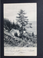 AK KULM B. WEIZ Ca. 1900  //  D*62336 - Weiz