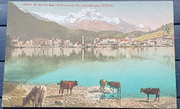 Szwajcaria Gryzonia  St. Moritz - St. Moritz