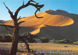 NAMBIA - Namibia
