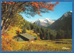 Schweiz; Klosters; Herbst Auf Der Alp - Klosters