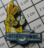 713M Pin's Pins / Beau Et Rare / INFORMATIQUE / LAPIN JAUNE ORDISCOL ORDINATEUR SCOLAIRE - Informatica