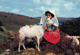 87 ROCHECHOUART LES MONEDIERES - Rochechouart