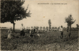 CPA BOUFFEMONT - La Cueillette Des Pois (380332) - Bouffémont