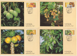 "VENDA" 1983, Mi. 82-85 "Fruechte" Auf 4 Maximumkarten (53178) - Venda