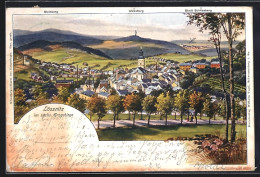 AK Lössnitz / Erzg., Ortsansicht Mit Steinberg Und Gleesberg - Lössnitz