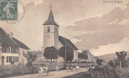 Suisse - JU - DAMVANT - Vue Intérieure - Vaches, Eglise - Voyagé 1911 (2 Scans) Jules Perrin à Etalans - Damvant
