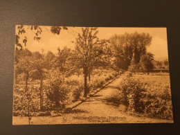 Luxembourg Luxemburg Carte Postale Ettelbruck Doctrine Chretienne Jardin - Ettelbruck
