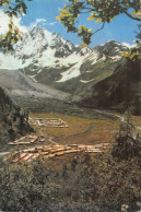 CHINE TIBET NOUVEAU VILLAGE DANS UNE ZONE FORESTIERE - Tibet