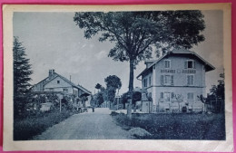 CPA, Suisse, Schweiz, Les Bornes - DAMVANT (Canton Du Jura, District De Porrentruy) Village Frontalier, Douanes Suisses - Damvant