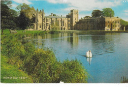 View Of Newstead Abbey Frm The Lake - Nottingham