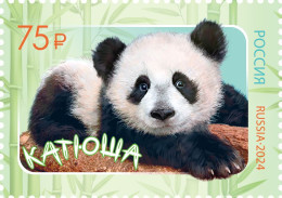 2024 3553 Russia The 75th Anniversary Of Diplomatic Relations With China - Panda Katyusha MNH - Ungebraucht