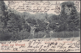 Gest. O-1000 Berlin Westend Alpenpanorama Spandauer Brauerei 1902 - Other & Unclassified