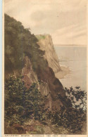 England Clovelly Gallantry Bower - Clovelly