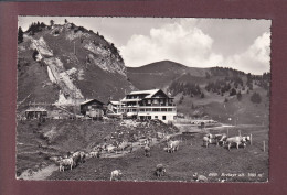 BRETAYE - Gare Et Vaches - 1955 // Trou // - Bretaye