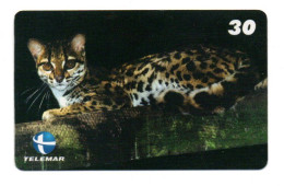 Chat Sauvage Cat Animal Jungle Télécarte Brésil Phonecard Telefonkarte (YW 595) - Katzen