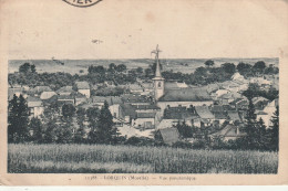 Lorquin (57 - Moselle) Vue Panoramique - Lorquin