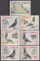 CUBA 1966, FAUNA, BIRDS, PEGIONS, COMPLETE, MNH SERIES With GOOD QUALITY, *** - Unused Stamps