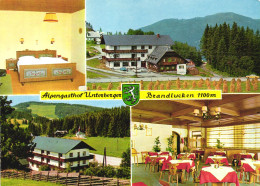 BRANDLUCKEN, WEIZ, MOUNTAIN INN ZUM JAGAWIRT, RESTAURANT, CAR, EMBLEM, POSTCARD, AUSTRIA - Weiz