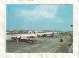 CPA :  14 X 10  -  Aéroport  D'Orly. - Flugwesen