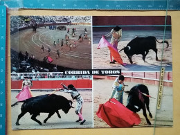 KOV 506-57 - BULL, TAUREAU, CORRIDA DE TOROS, MATADOR - Stiere