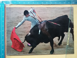 KOV 506-57 - BULL, TAUREAU, CORRIDA DE TOROS, MATADOR - Stiere