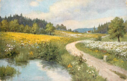 Landscape With Trees Old Postcard - Bäume
