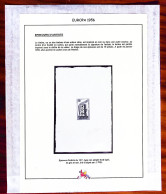 Epreuve N°1076 Epreuve D'artiste Du 15F, Type Non Adopté Fond Ligné En Gris Et Noir Tirée En 19 Exemplaires Et Signée Pa - Other & Unclassified