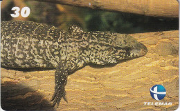 TARJETA DE BRASIL DE UN LAGARTO (REPTIL-LIZARD-REPTILE) - Autres & Non Classés