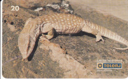 TARJETA DE BRASIL DE UN LAGARTO (REPTIL-LIZARD-REPTILE) - Autres & Non Classés