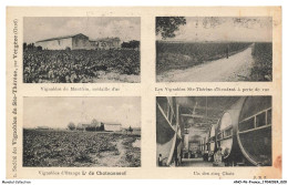 ANOP6-0386-30 - Société Des Vignobles De Sainte-thérèse Par - VERGEZE - Gard - Vergèze