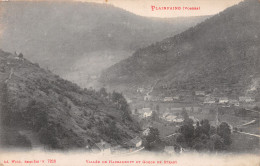 88-PLAINFAING-N°4229-C/0329 - Plainfaing