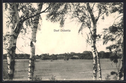 AK Döberitz / Dallgow, Ortsansicht Mit Birken - Dallgow-Doeberitz