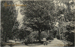 Delcampe - CPA INDONESIA Groet Uit BUITENZORG (360642) - Indonesien