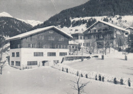 SOLDANELLA KLOSTERS - Klosters