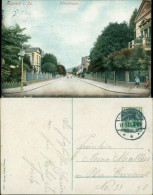 Ansichtskarte Neustadt (Sachsen) Albertstraße 1911 - Neustadt