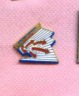 Rare Pins Edf Gdf Saint Mande P649 - EDF GDF